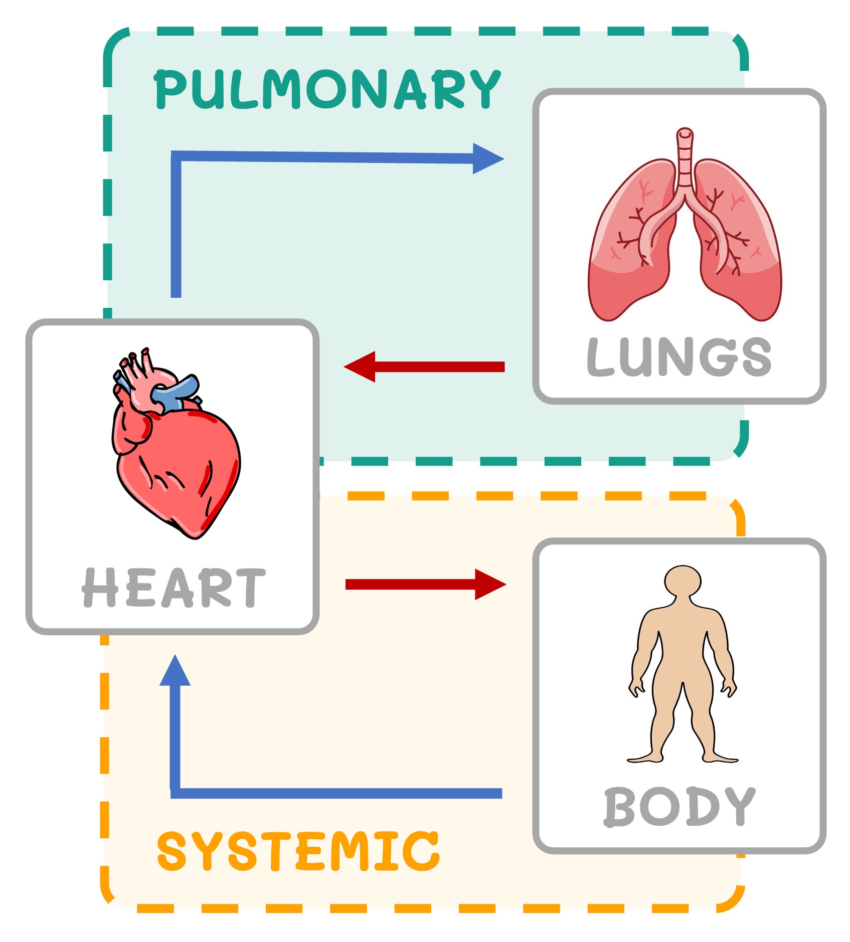 circulation%20double