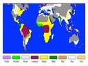 A2 Energy in Human Diets