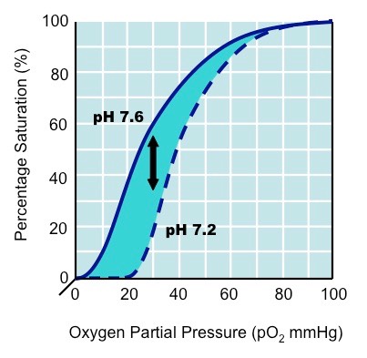 Bohr effect