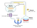 D1 Origins of Life on Earth