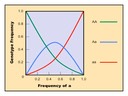 D4 The Hardy-Weinberg Principle