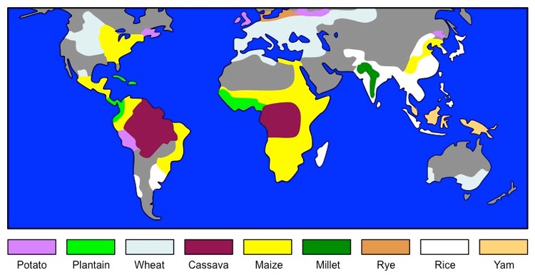 Dietary energy sources