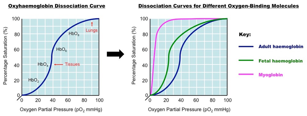 dissociation curves 2