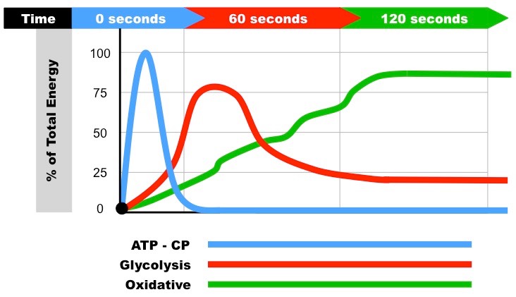 Aerobic discount respiration exercise