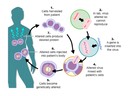 F3 Microbes and Biotechnology