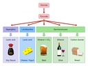 F4 Microbes and Food Production