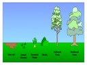 G2 Ecosystems and Biomes