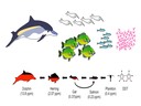 G3 Impacts of Humans on Ecosystems