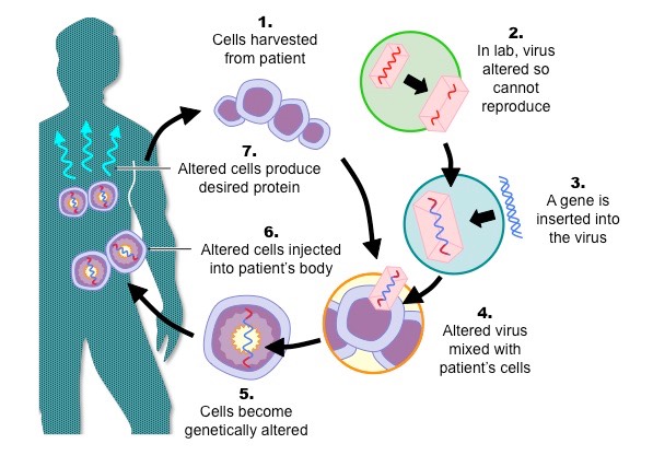 gene therapy images