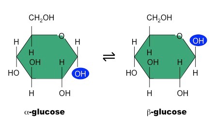 glucose