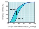 H6 Gas Exchange