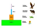 5.1 Communities and Ecosystems