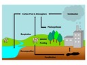 5.2 The Greenhouse Effect