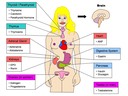 H1 Hormonal Control