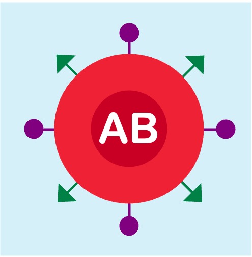 Blood%20AB