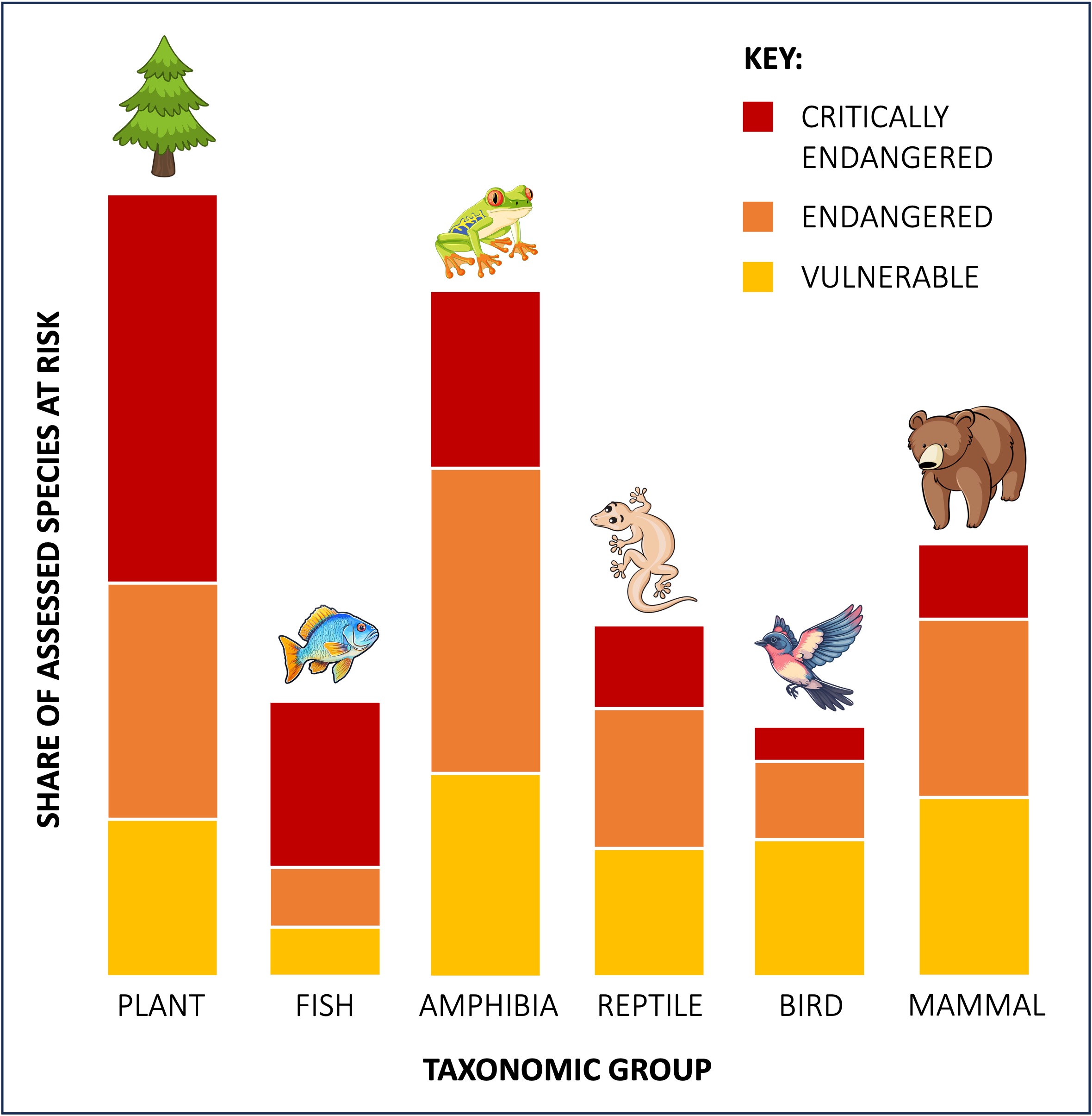 species%20diversity2