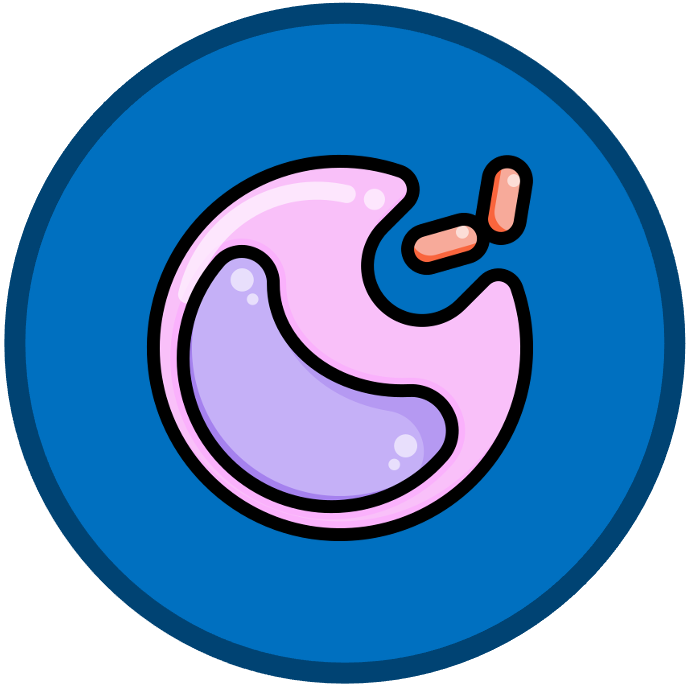 introduction%20to%20cells