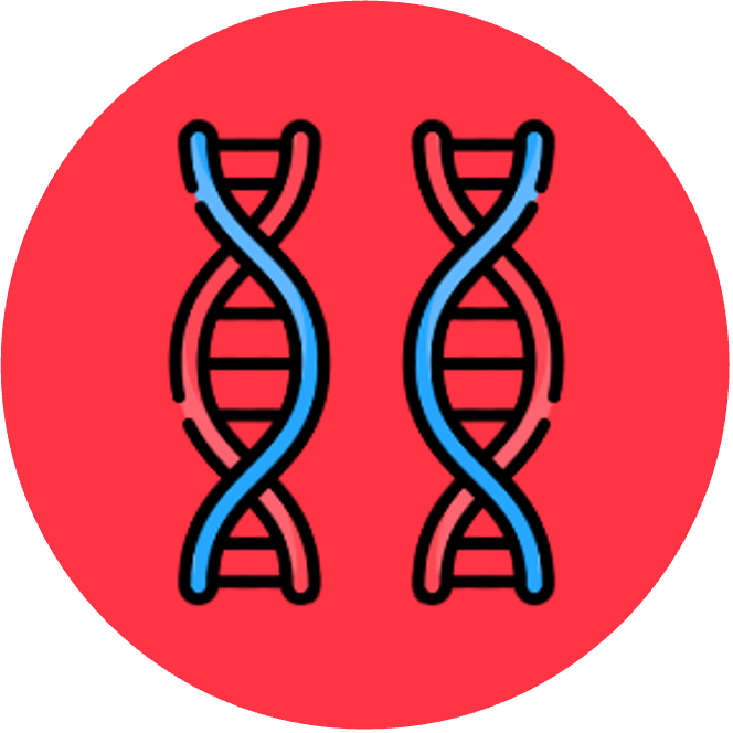 introduction%20to%20cells