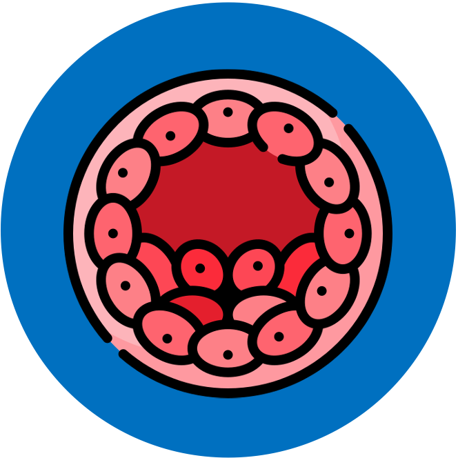 introduction%20to%20cells