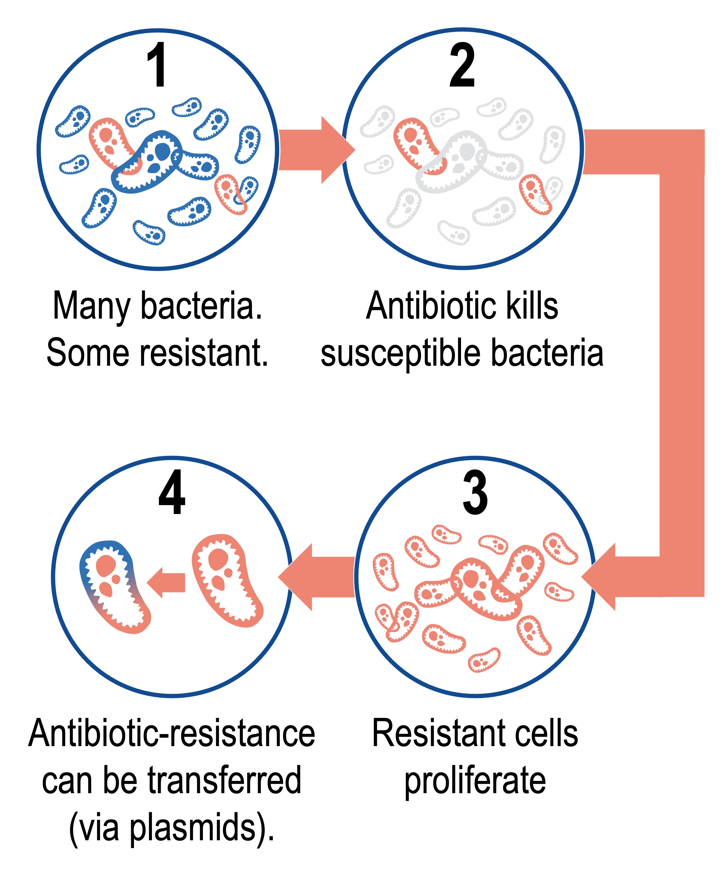 antibiotic%20resistance%20mobile