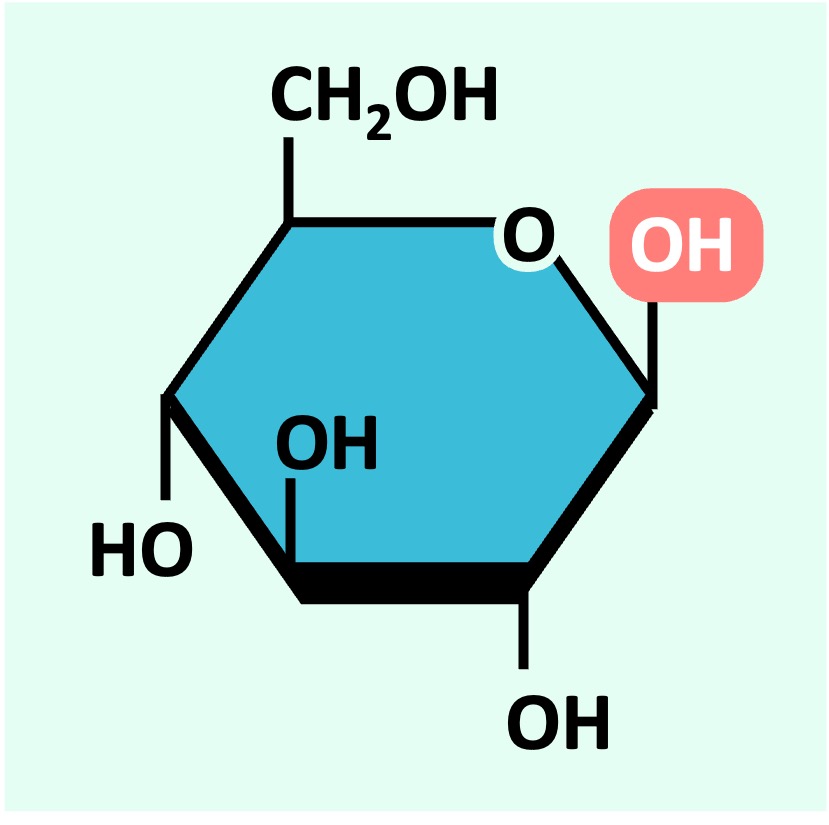 beta%20glucose