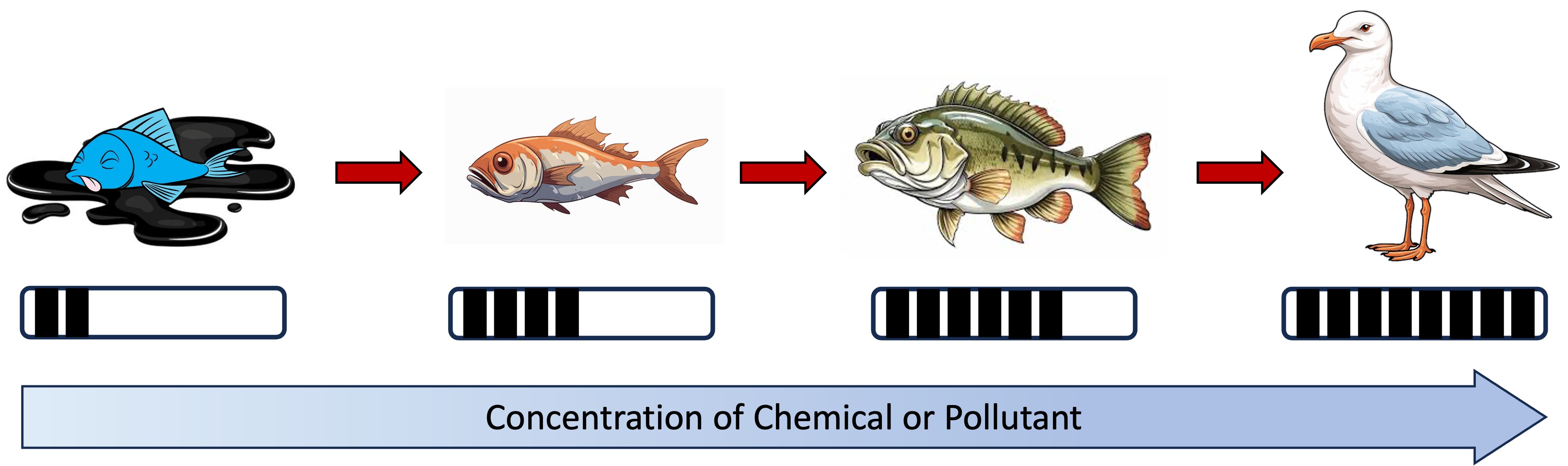 ecology4