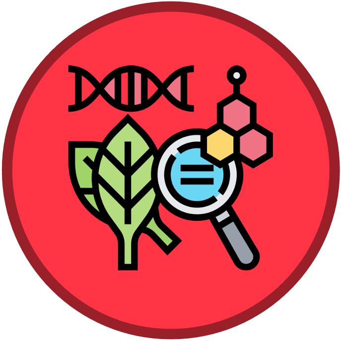 introduction%20to%20cells