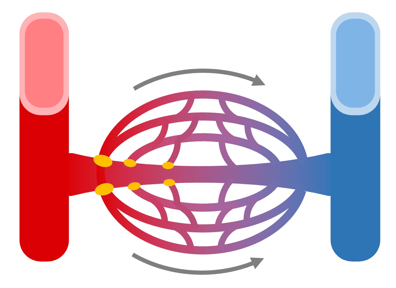 circulation%20double