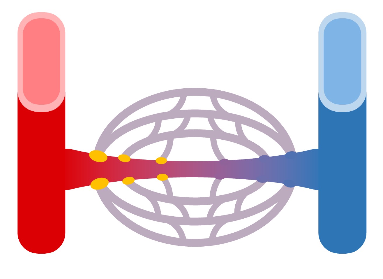 circulation%20double