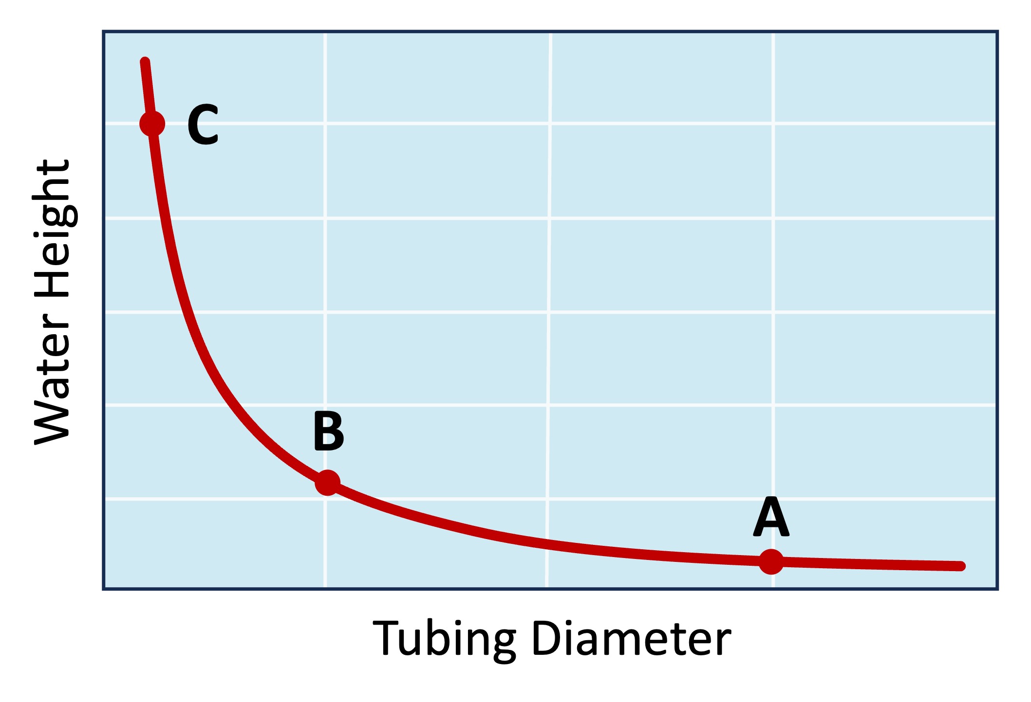 capillary%20B