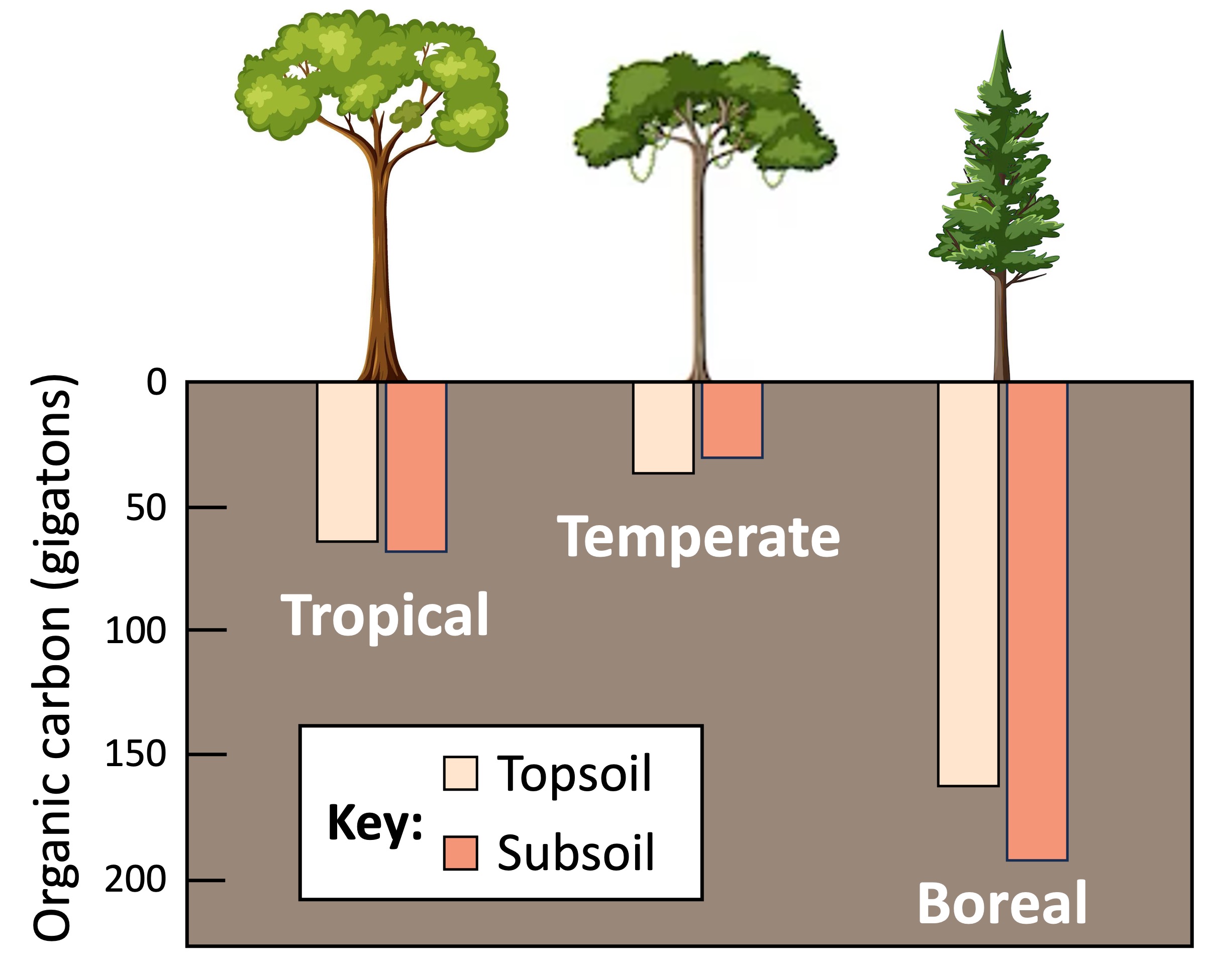 carbon%20sink%20mobile