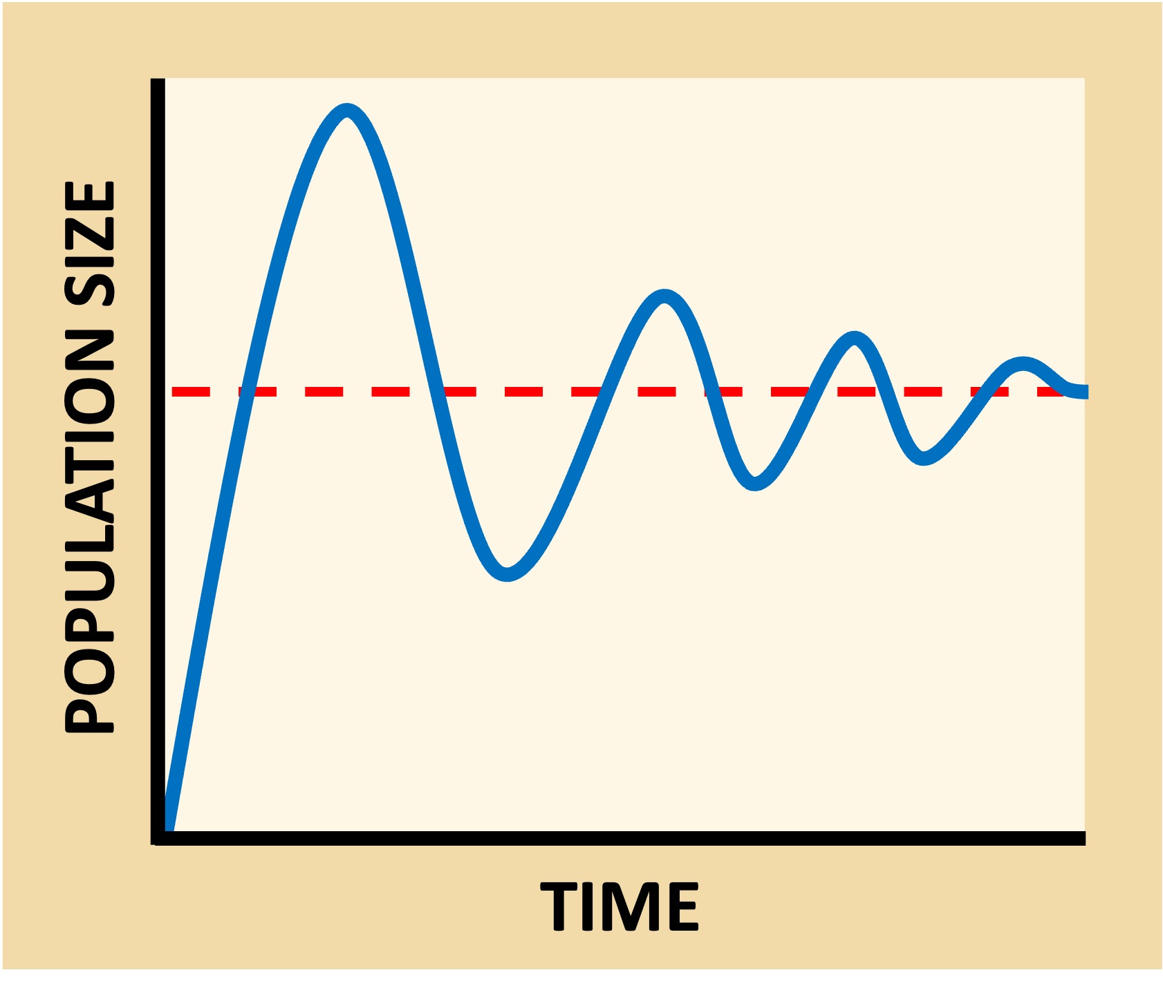 carrying%20capacity%20mobile