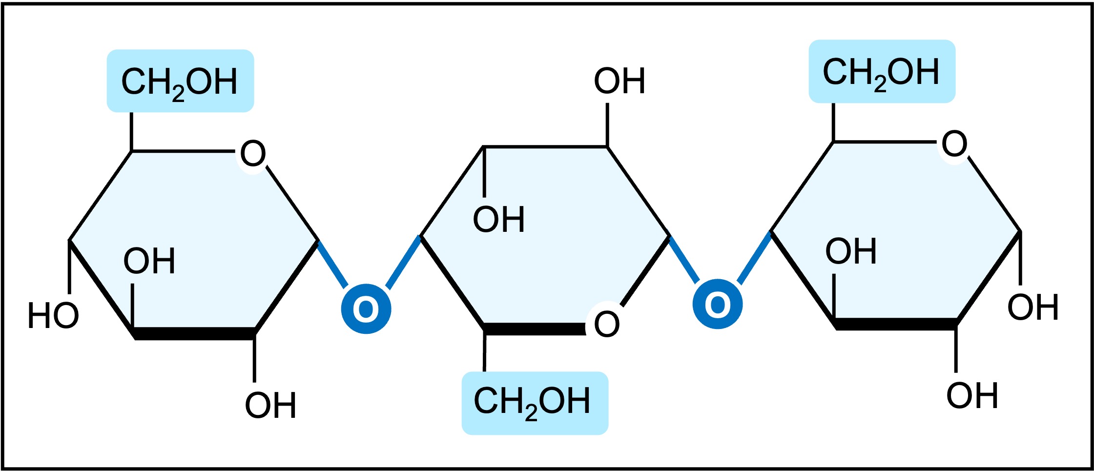 cellulose%20monomers%20mobile
