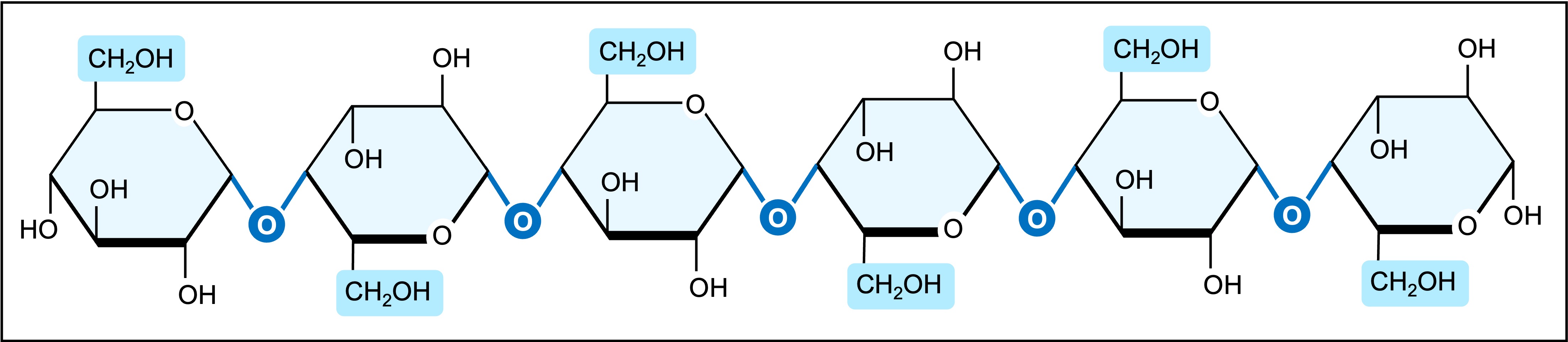 cellulose%20monomers