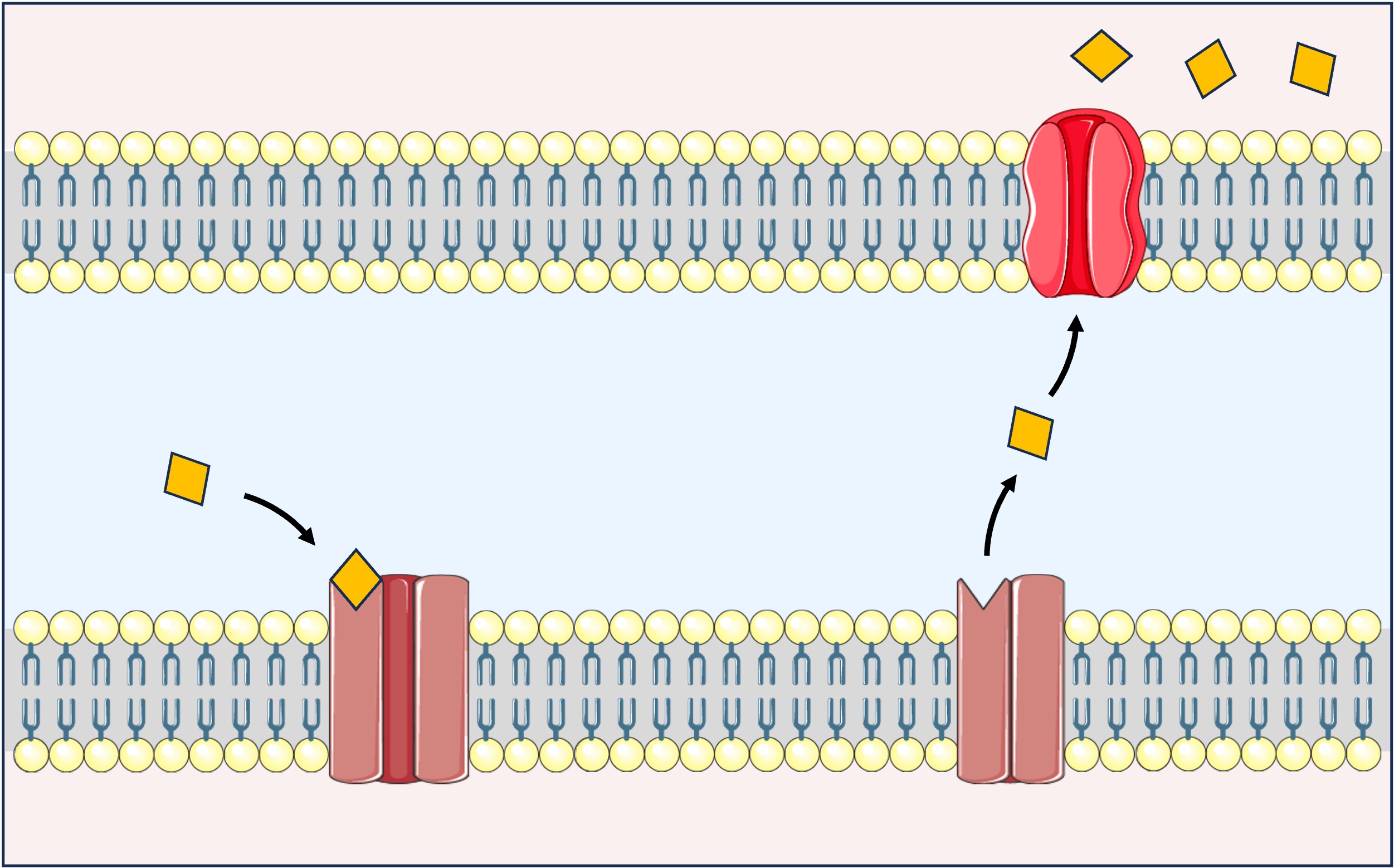 neonicotinoid1