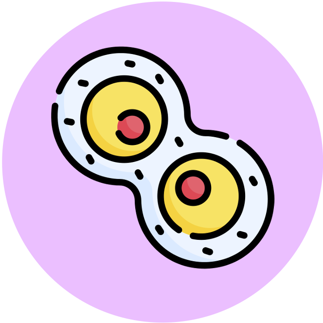 Membrane%20Structure