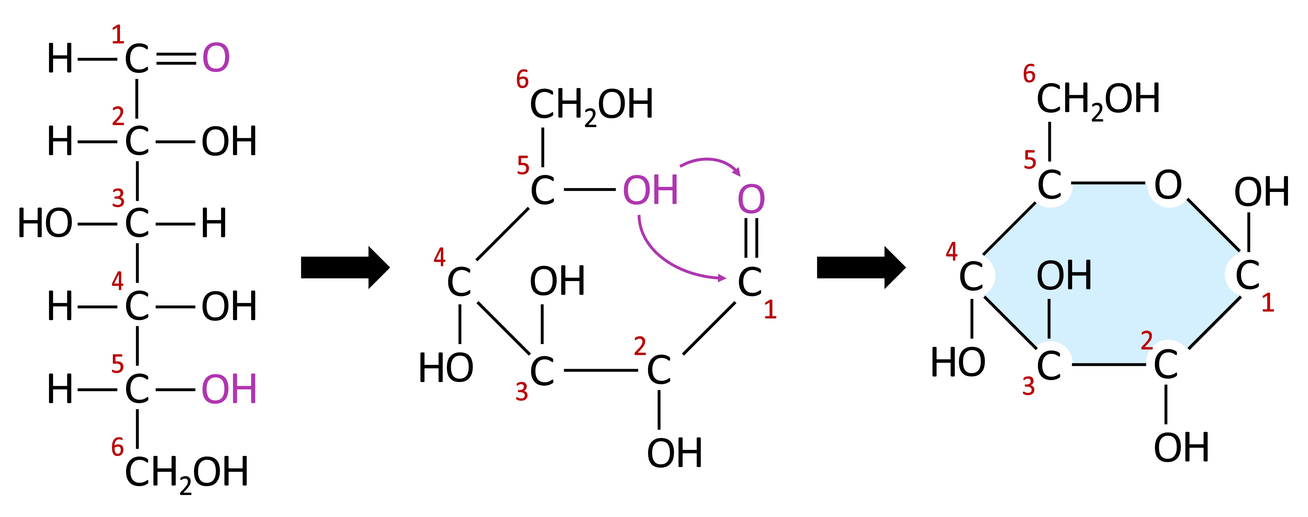 Monosaccharides