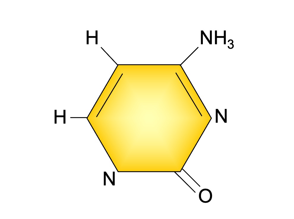 cytosine