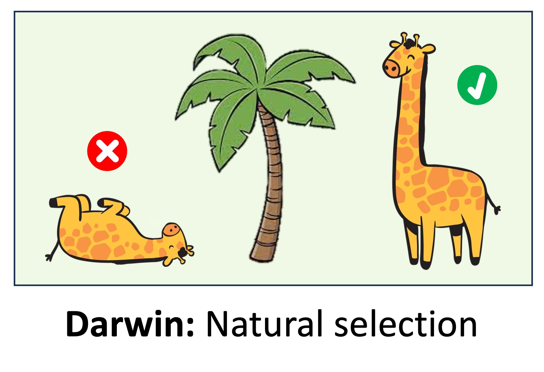 darwin%20mobile