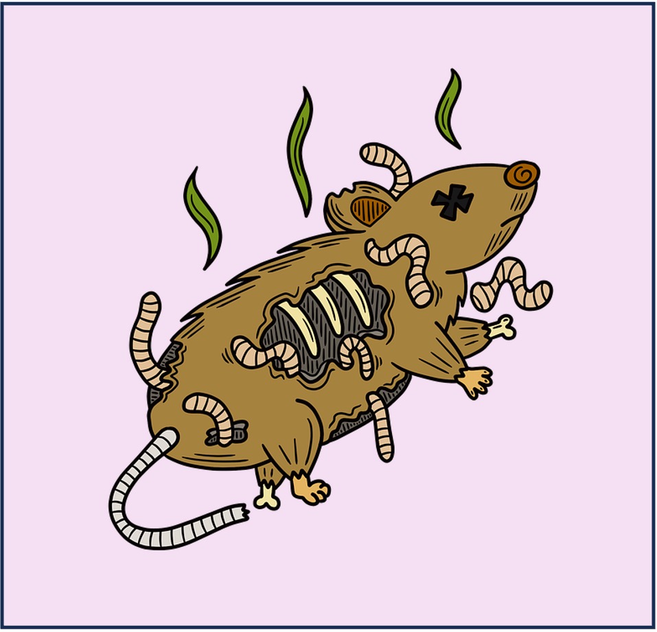 energy%20flow1%20mobile