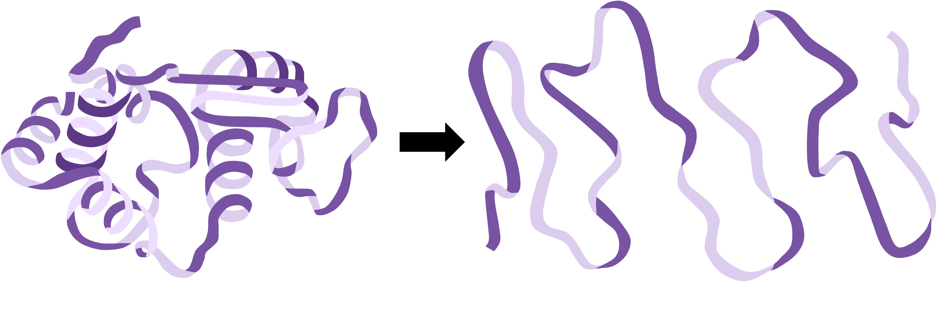 denaturation%20mobile