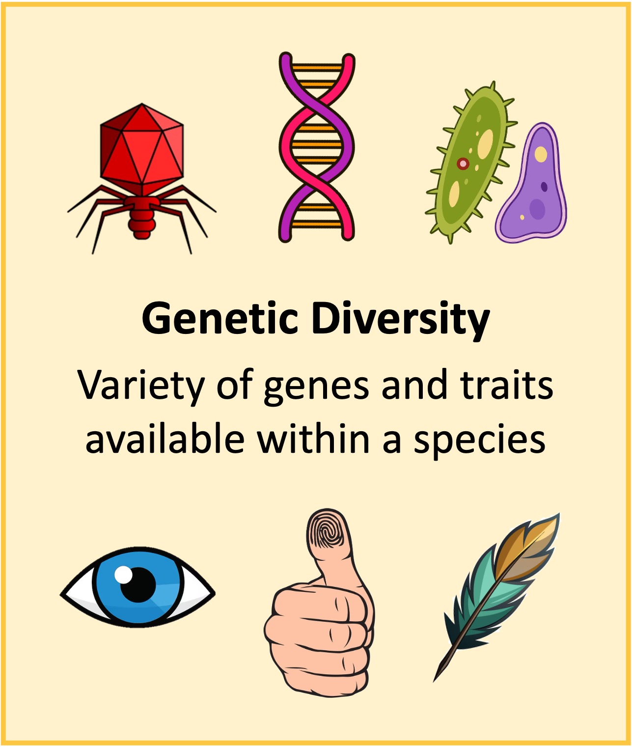 diversity1