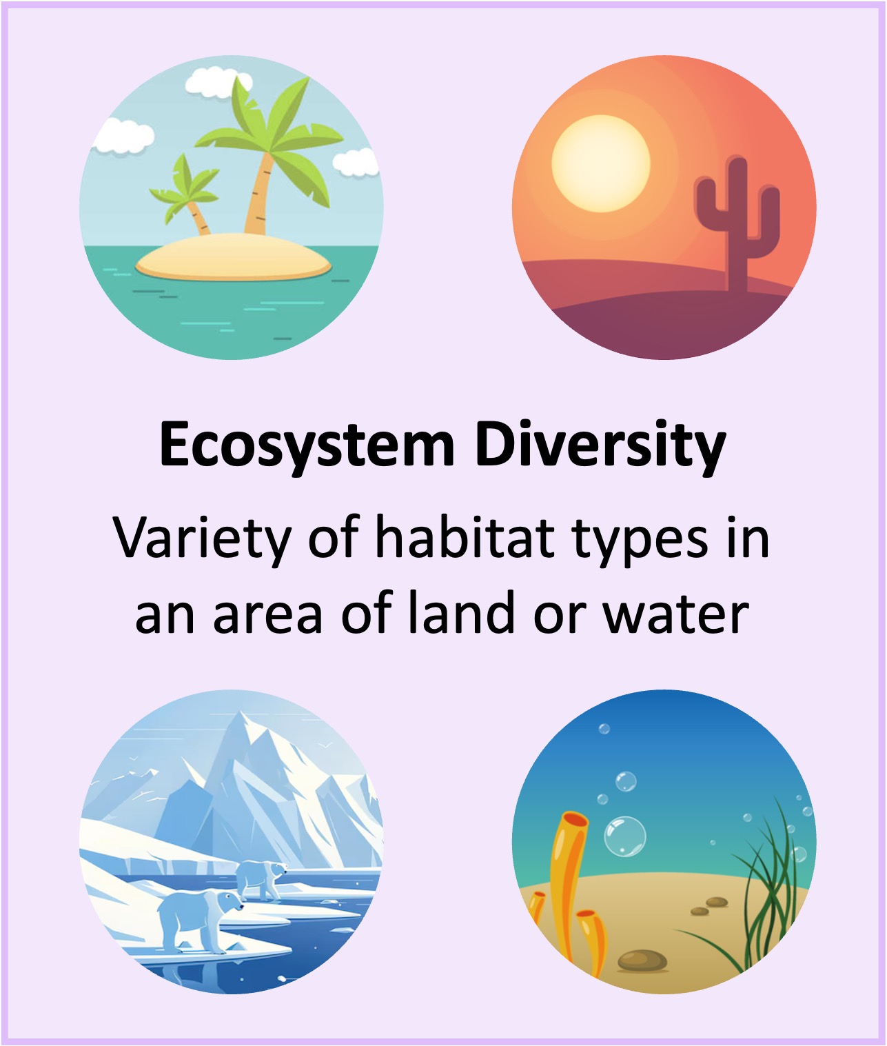 diversity3