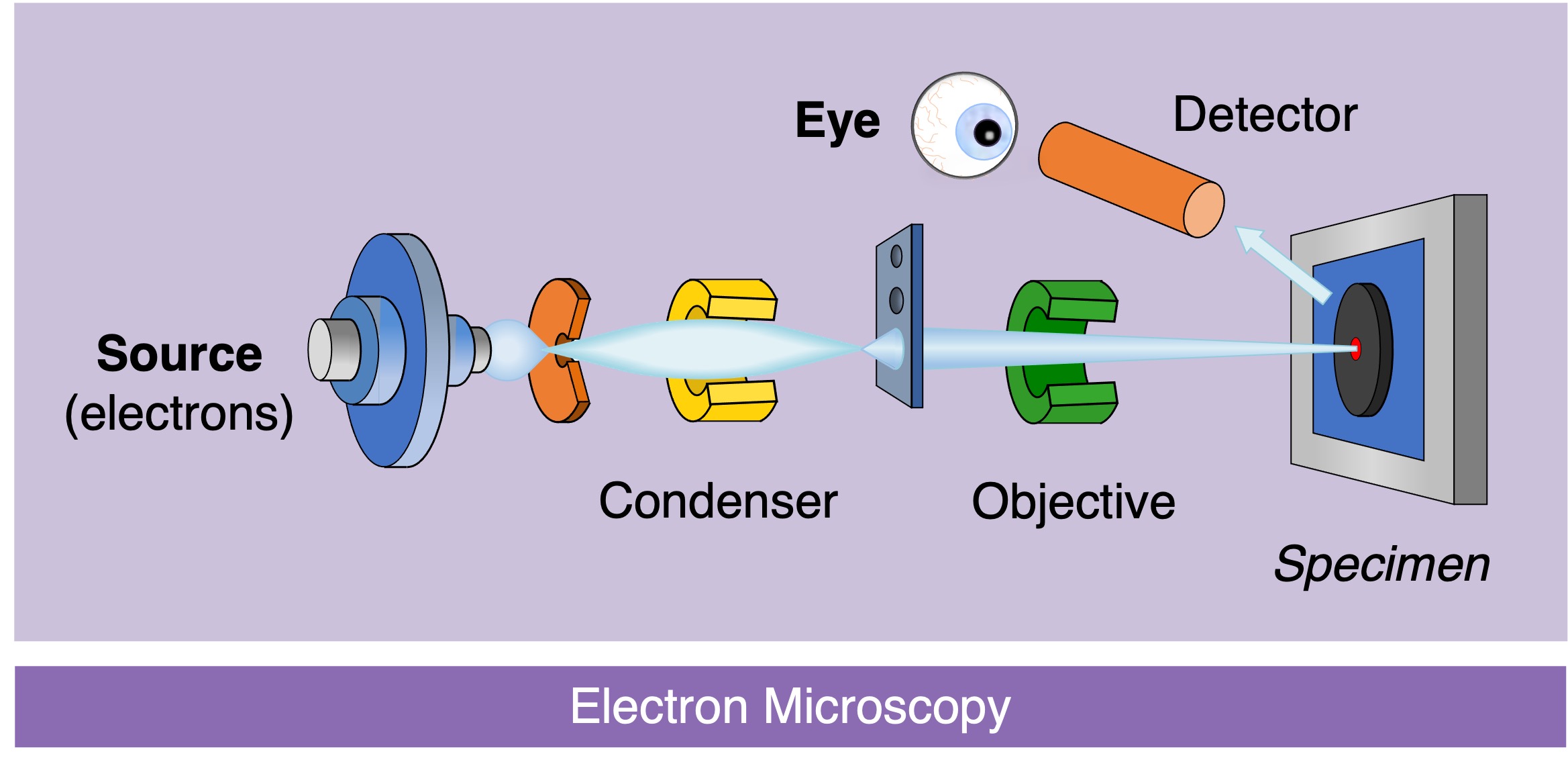 electron%20microscopy%20ipad