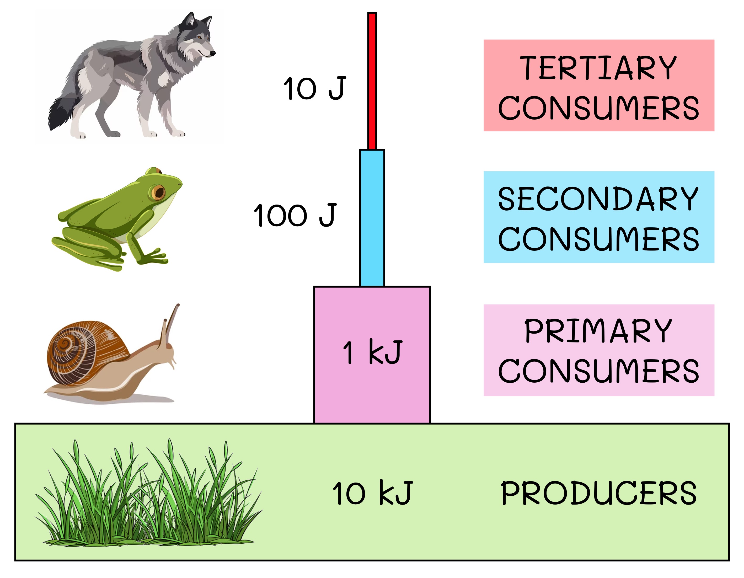 energy%20pyramid%20ipad