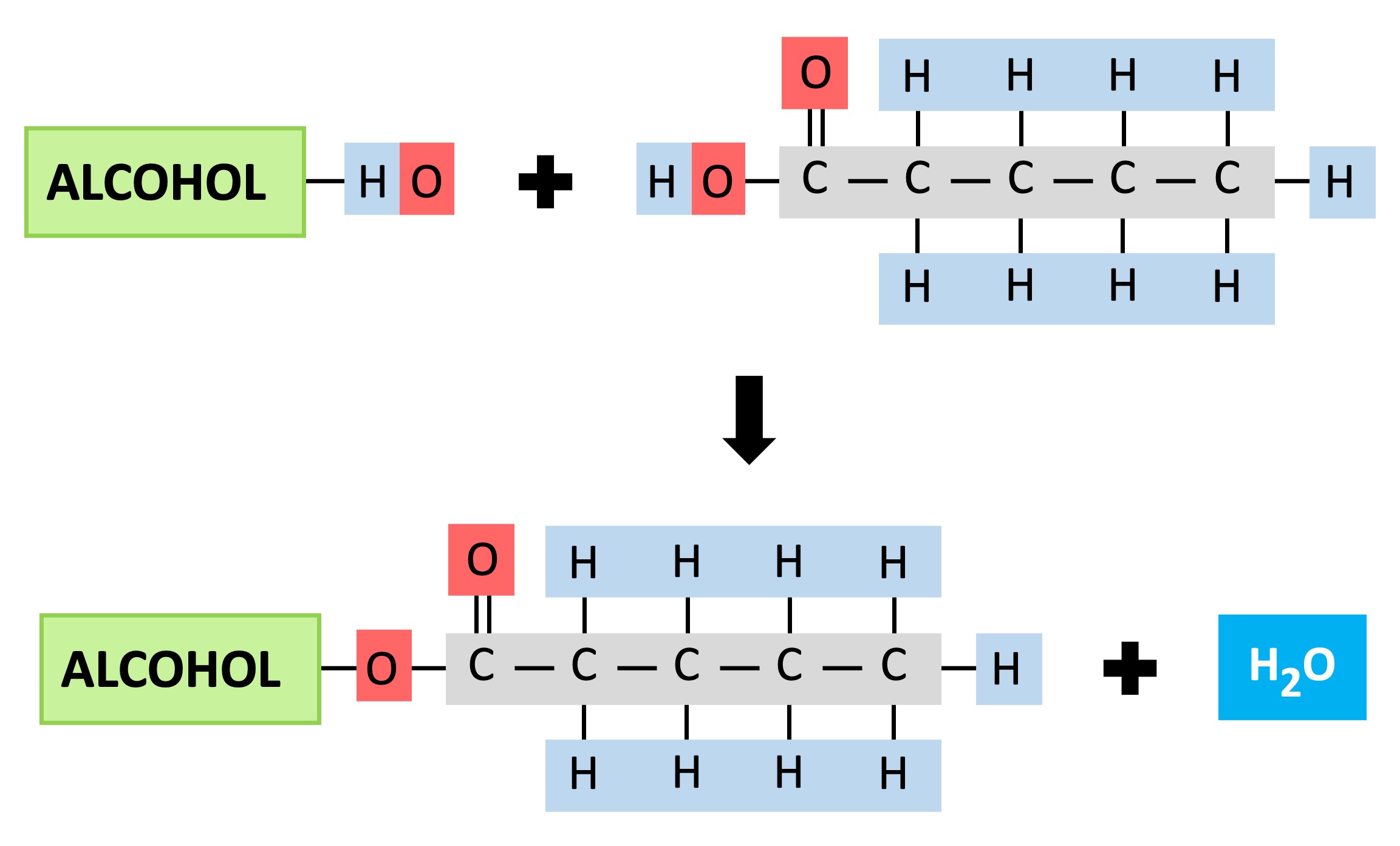 ester%20linkage%20mobile