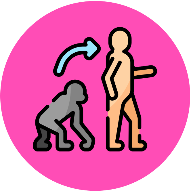 introduction%20to%20cells