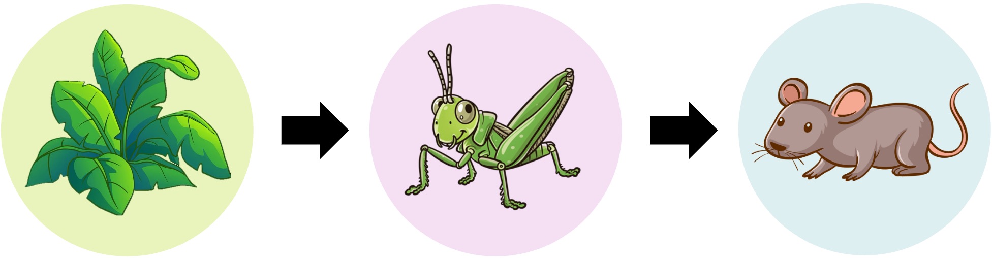 food%20chain%20mobile