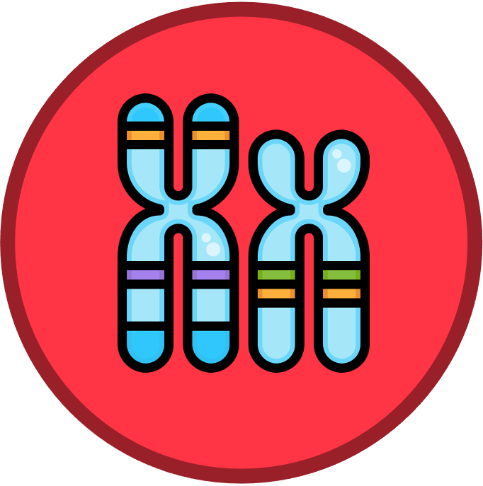 introduction%20to%20cells