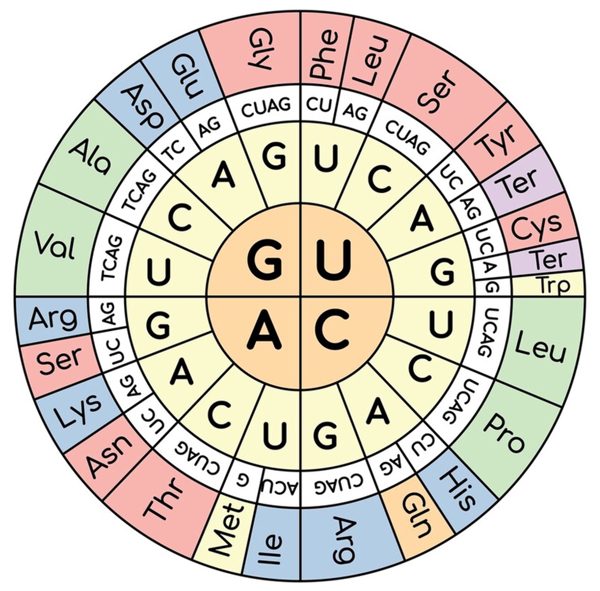 Genetic Information